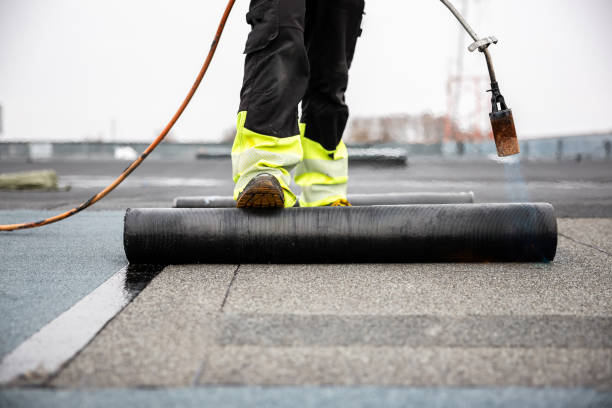 Gutter Replacement in Spring Creek, NV